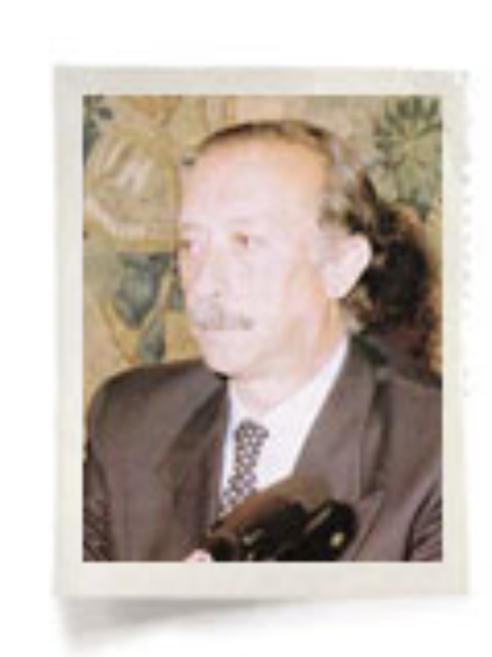 D. Rafael Mariscal Martínez